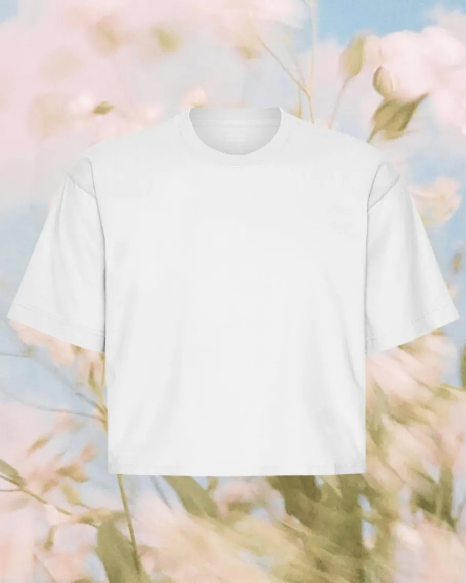 colorful_standard_organic_0-1.webp Colorful Standard Organic Boxy Crop Tee Optical White^Dame Overdele